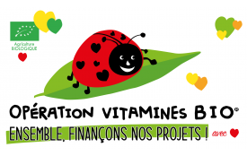 ORANGES BIO &amp; MANDARINES BIO